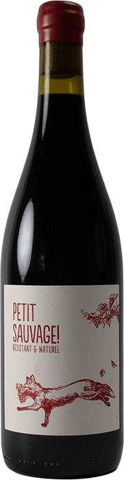 PETIT SAUVAUGE NATURAL CABERNET CORTIS 2022 RED WINE 750 ML