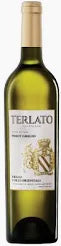TERLATO PINOT GRIGIO 2024 FRIULI 750ML